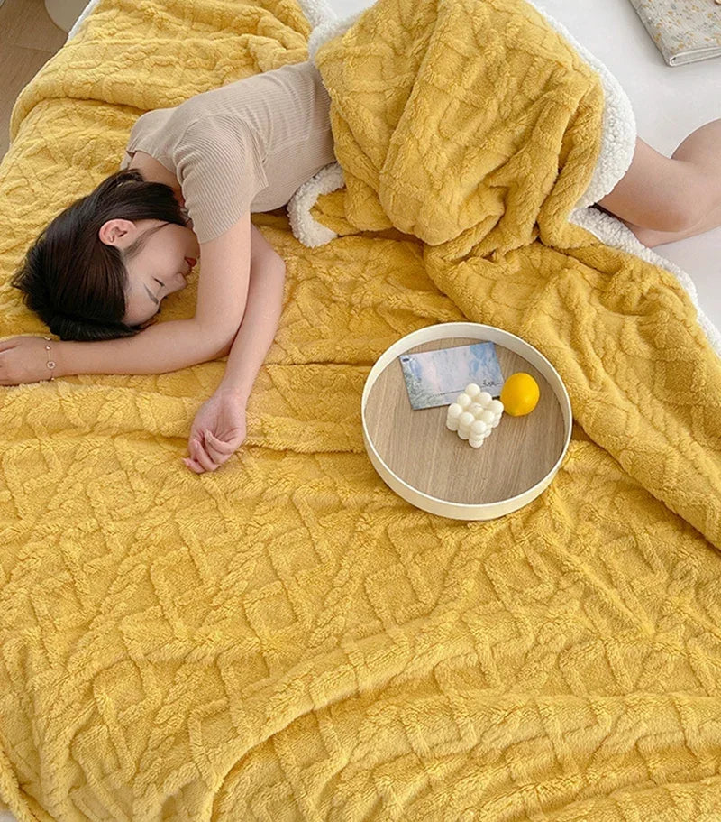 Thick Plush Blanket